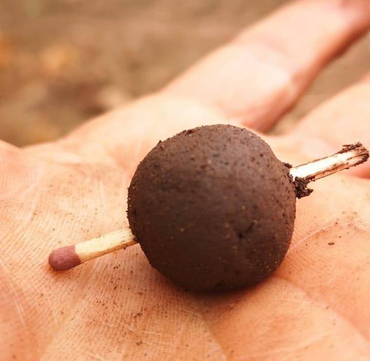 50895bec-6284-4715-979d-164a1d2d54d2