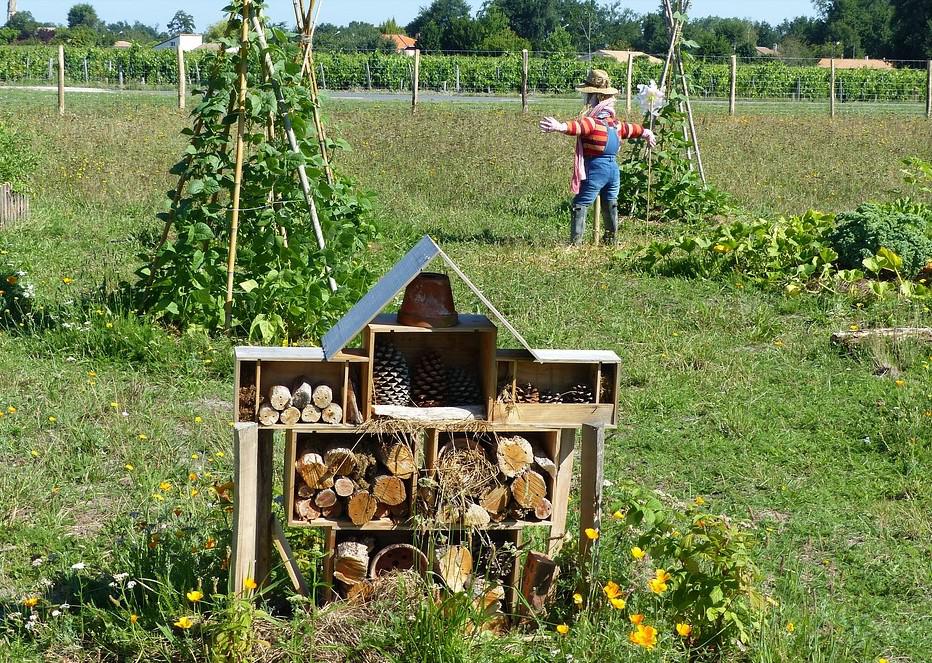 ecoaldea. permacultura.Imagen Pixabay