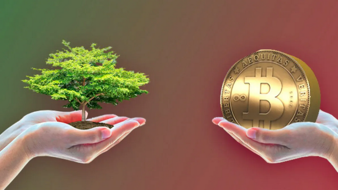 criptomonedas