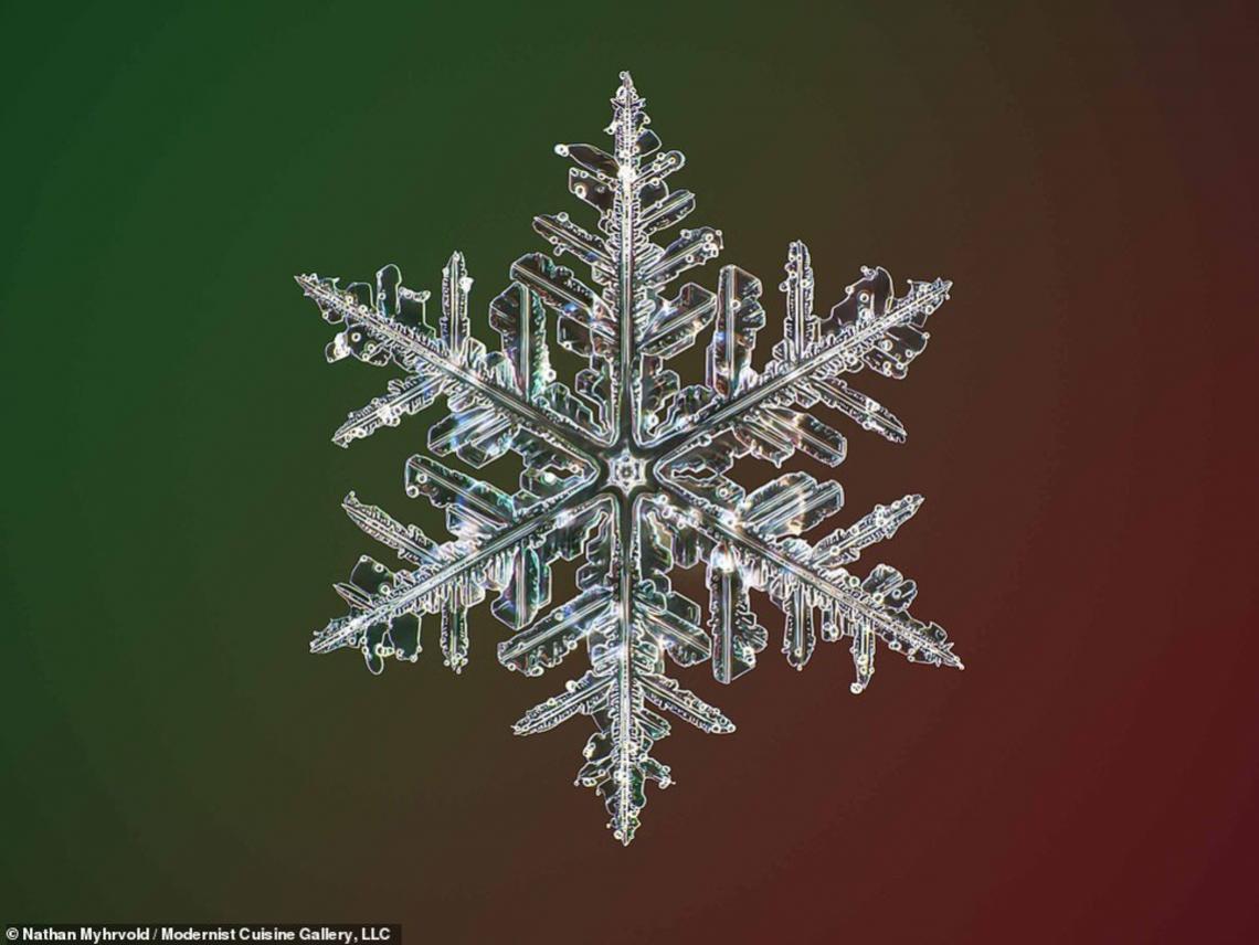 copo-nieve_0