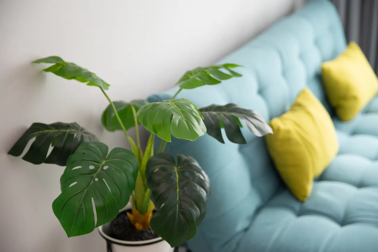 proveedores de plantas artificiales - IP