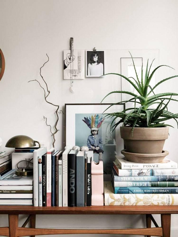 mesa-escritorio-llena-de-libros-y-aloe-vera_3dbfee16_750x1000