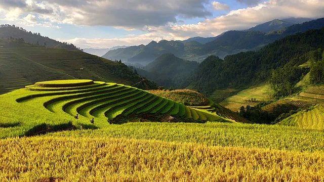 agricultura-IP