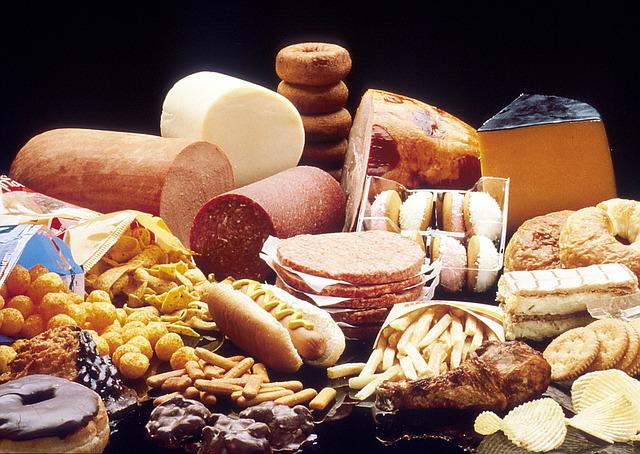 fat-foods-1487599_640