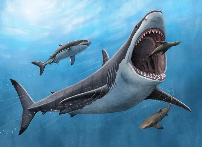 megalodon