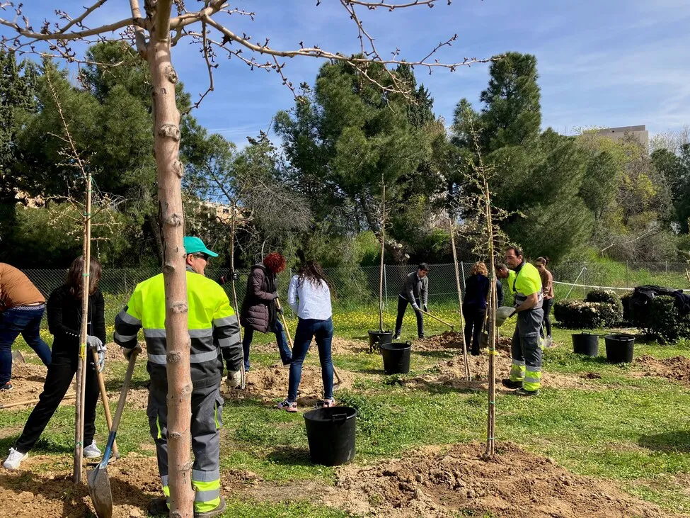 Reforestación Alcobendas - IP